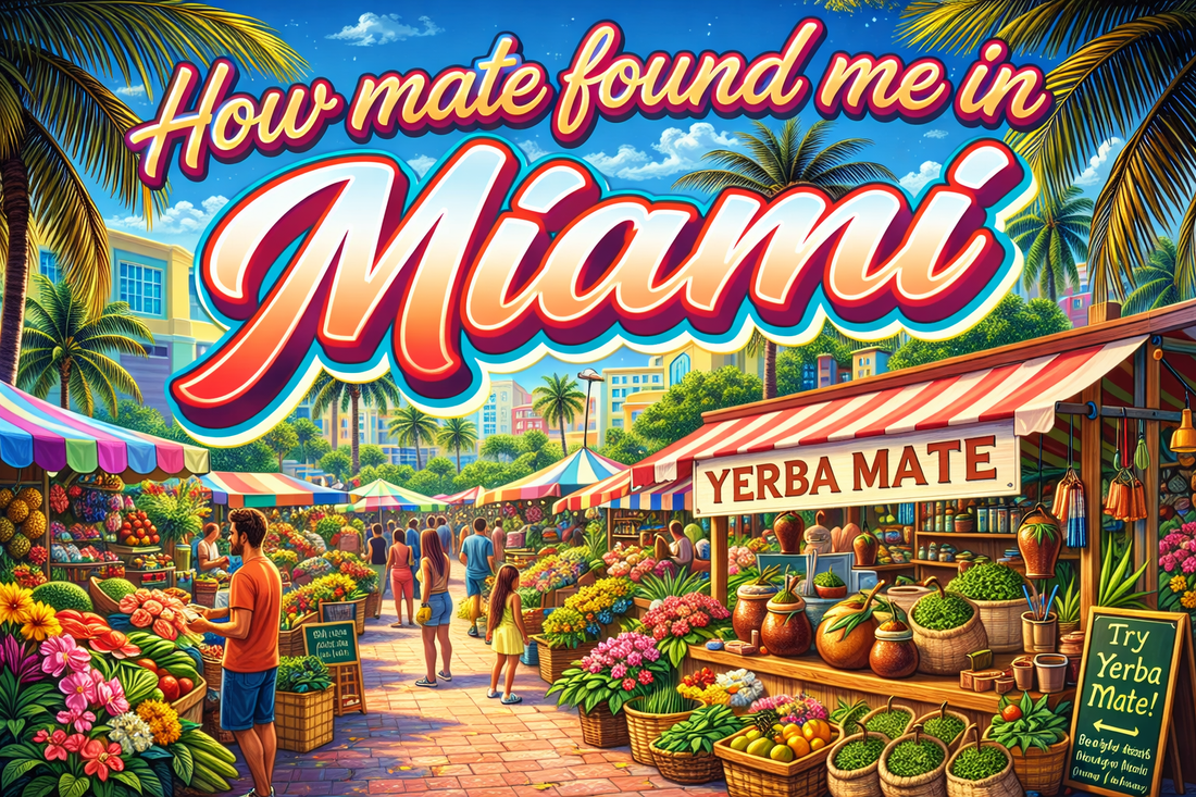 How Mate found me in Miami