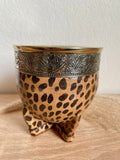 Mate Imperial Smooth Leopard